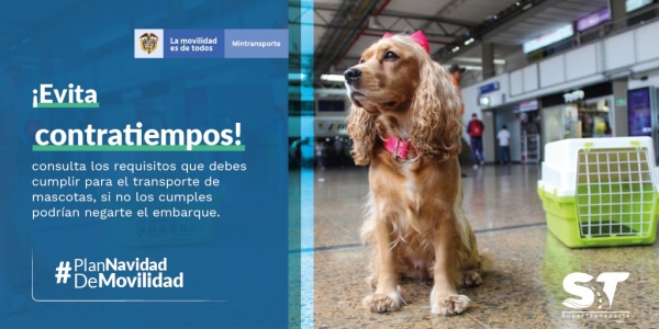 la-supertransporte-te-recomienda-1581-2_L